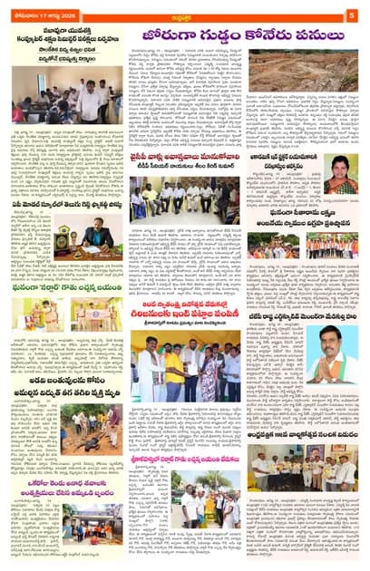 Page 5