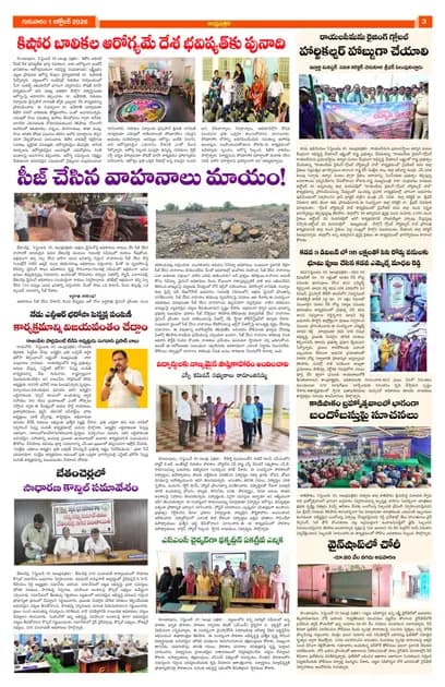 Page 3