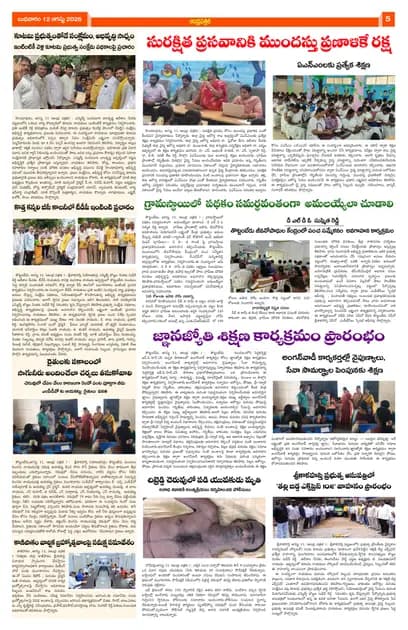 Page 5