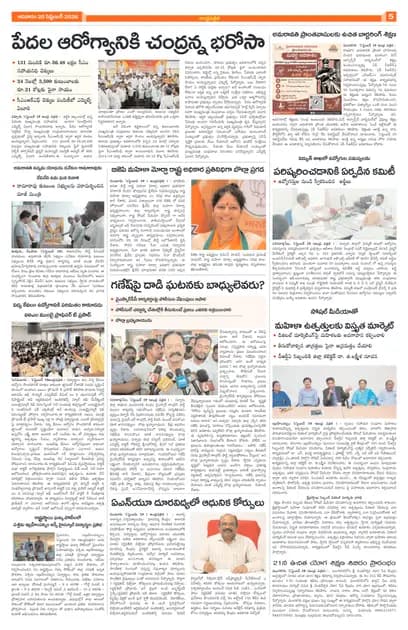 Page 5
