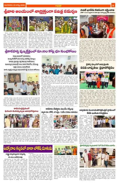 Page 5