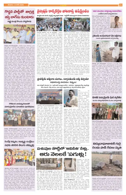Page 5