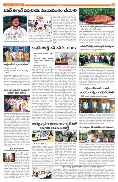 Page 3