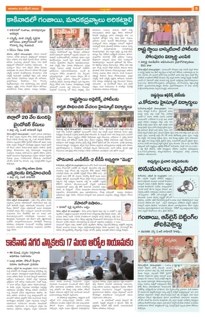 Page 5
